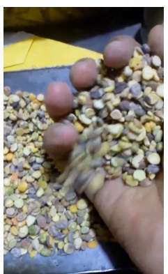 Chana dal 